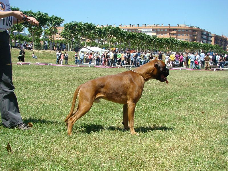 Atibox Spain 2009, 11 months